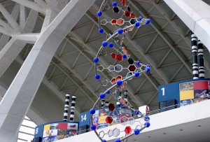 ADN, disseny moden a la Casa de la Ciència
